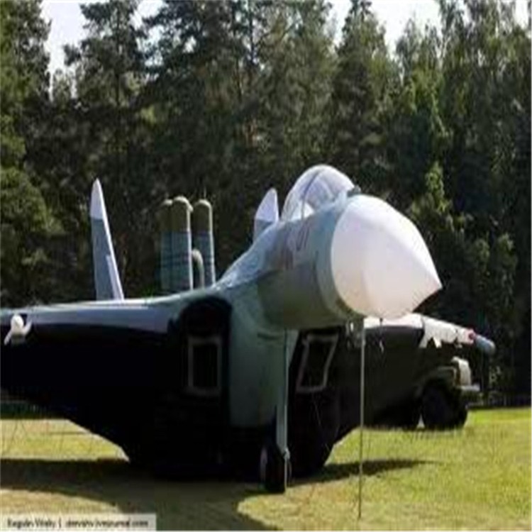 金湾充气模型飞机制造商家